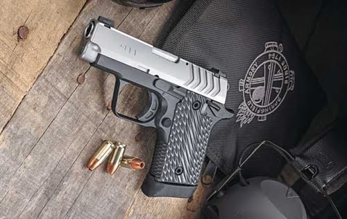 SPRINGFIELD ARMORY 911 9MM STAINLESS – TRITIUM NIGHT SIGHTS - Image 5