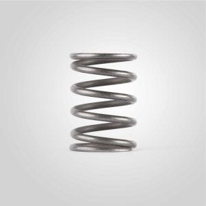 Alternative view of DEAD AIR P-SERIES PISTON SPRING FOR BOOSTER ASSEMBLY