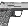 SPRINGFIELD ARMORY 911 9MM STAINLESS – TRITIUM NIGHT SIGHTS - Image 6