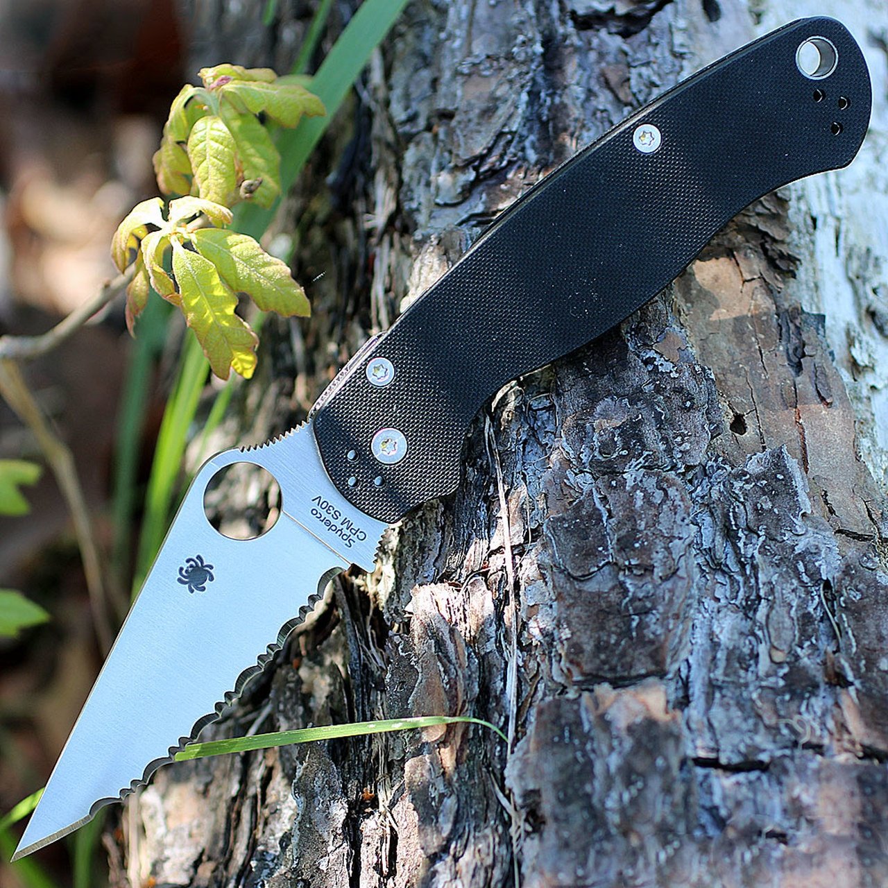 SPYDERCO PARAMILITARY 2 SATIN FINISH BLACK G-10 HANDLE – 3.44″ S30V SERRATED EDGE BLADE - Image 7